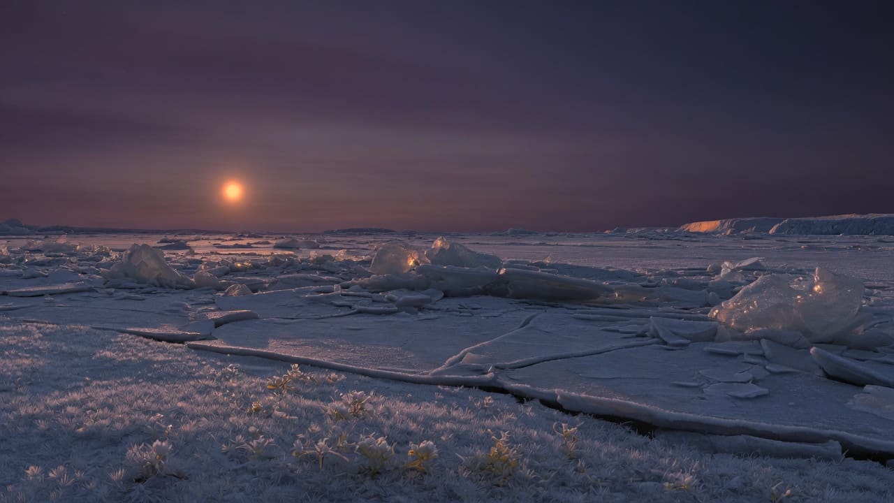 Artist’s impression of Kepler-441 b: VIEW 1 · ON THE SURFACE